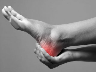 HVORFOR FR JEG GNAGSR?