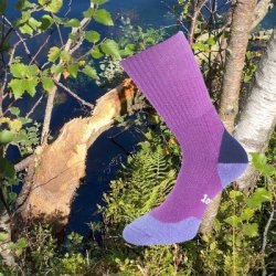 1000 MILE FUSION WALK SOCK