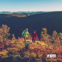 1000 MILE ULTIMATE LIGHTWEIGHT Walk Sokker